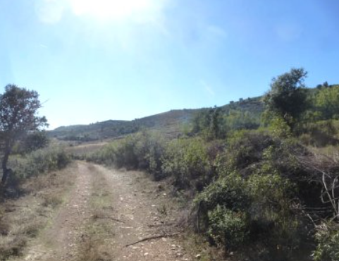 imagen de Finca de 400 ha en Toledo, zona rio Pusa
